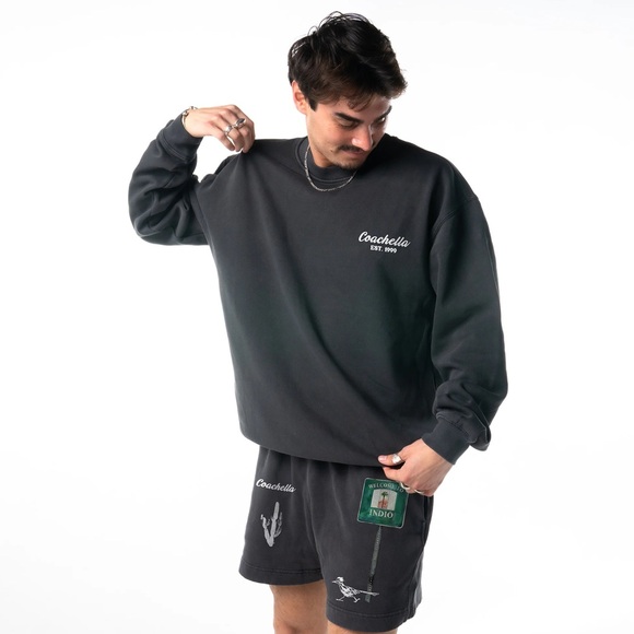 COACHELLA 2025 Desert Roadtrip Sweatshirt - Picture 4 of 11